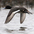 In flight. Note: white stripe reach close to wing tip (Lesser Scaup's show less white).